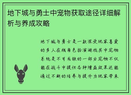 地下城与勇士中宠物获取途径详细解析与养成攻略